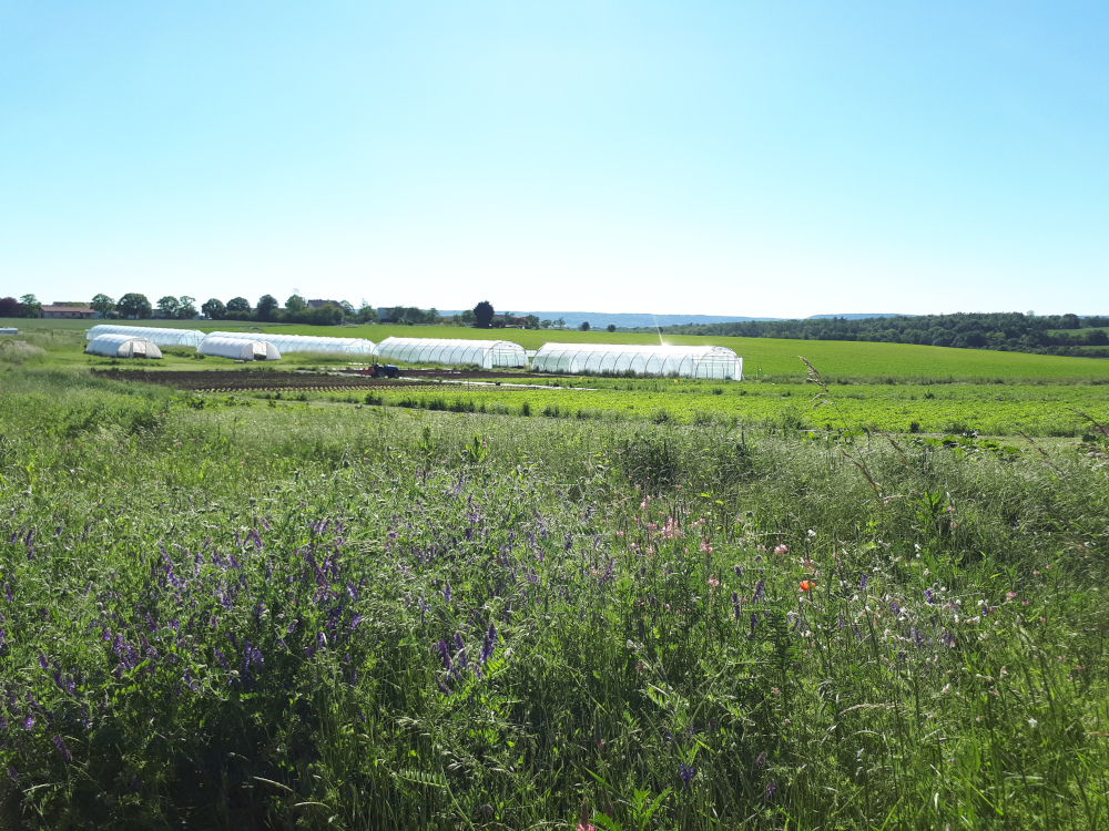 Photo de notre ferme bio à Ochey