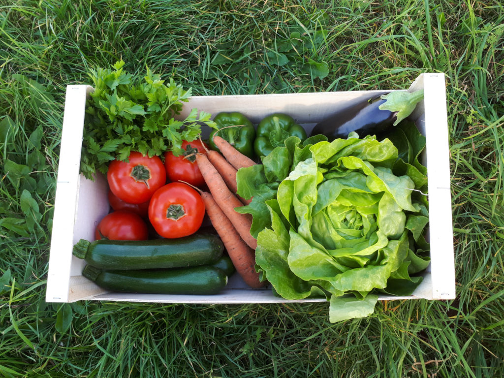 Commande de légumes bio locaux